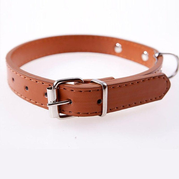 Collar de perro grabado en cuero, collares personalizados para mascotas, cachorros y gatos