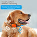eThings 4G Pet Locator Gps Beidou Cat Dog Sheep Positioning Anti Loss Waterproof Collar Grazing Positioning Tracker - eZthings USA WE SORT ALL THE CRAZIEST GADGETS, GIZMOS, TOYS & TECHNOLOGY, SO YOU DON'T HAVE TO.