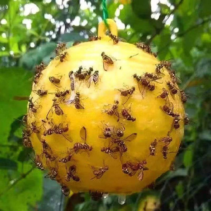 Trampas de bolas para moscas, matamoscas de insectos de 8cm, trampa para moscas de la fruta, trampa colgante reutilizable, repelente de plagas, suministros de jardín