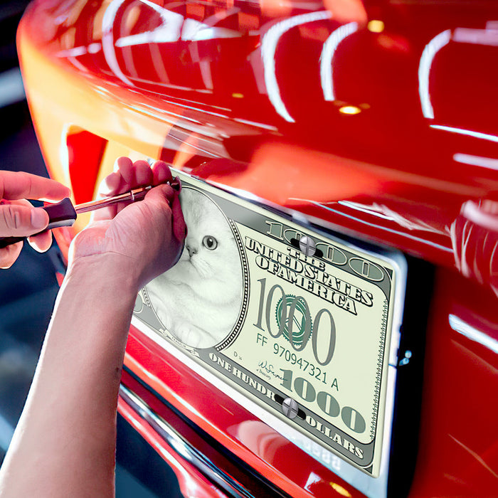 Placas de matrícula con foto personalizada Placa frontal de dinero personalizada para coche