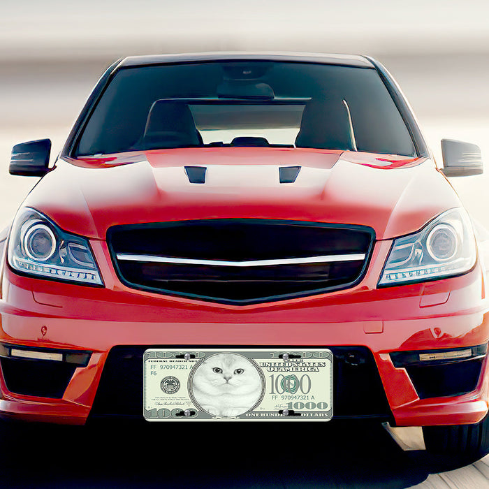 Custom Photo License Plates Personalized Money Front License Plate for Car