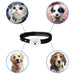 eThings Pet Gps Locator G9 Multiple Positioning Durable Standby Anti Loss Universal Model - eZthings USA WE SORT ALL THE CRAZIEST GADGETS, GIZMOS, TOYS & TECHNOLOGY, SO YOU DON'T HAVE TO.