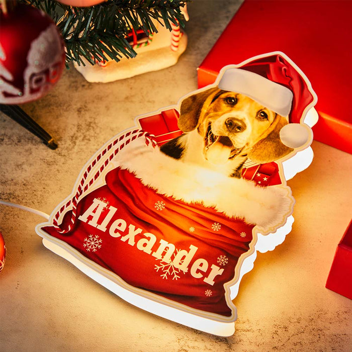 Lámpara de cesta de regalo de Navidad con foto personalizada con luz nocturna para mascotas