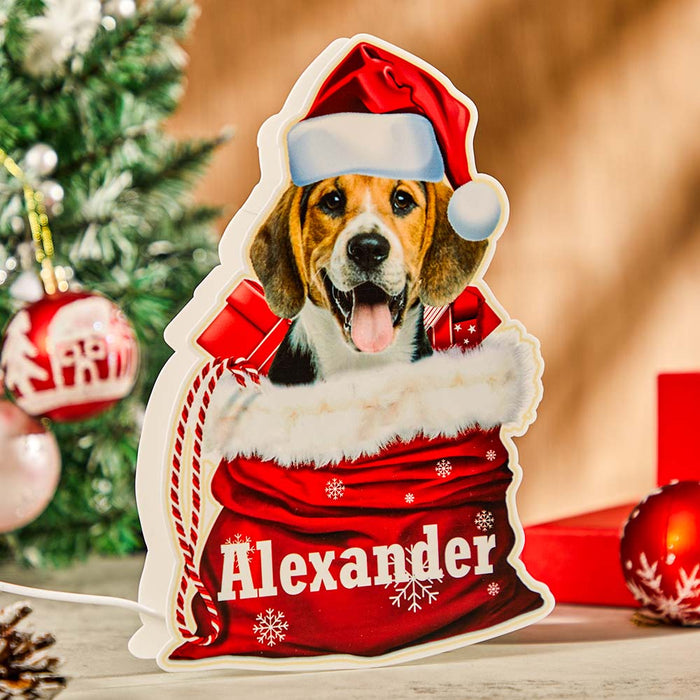 Lámpara de cesta de regalo de Navidad con foto personalizada con luz nocturna para mascotas