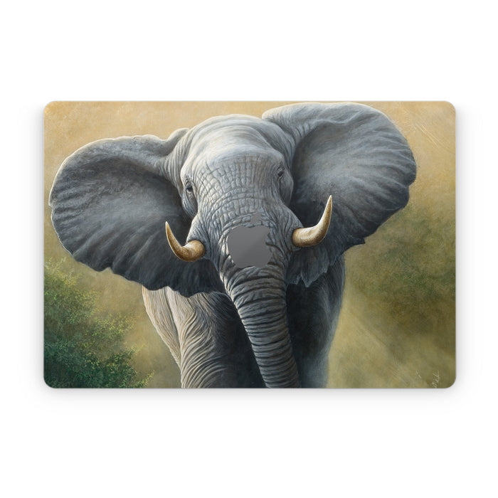 Right of Way - Apple MacBook Skin