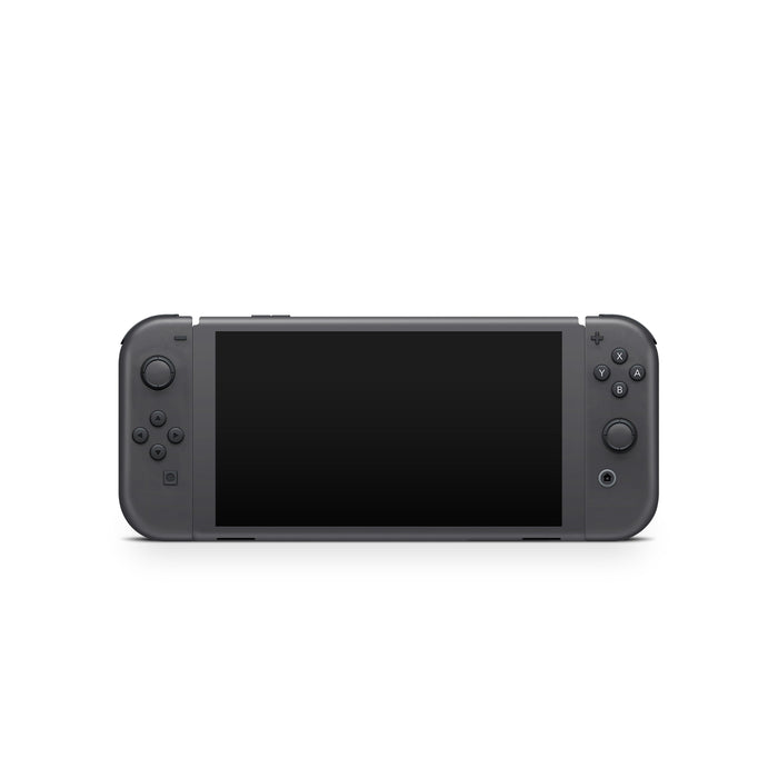 Solid State Slate Grey - Nintendo Switch Skin