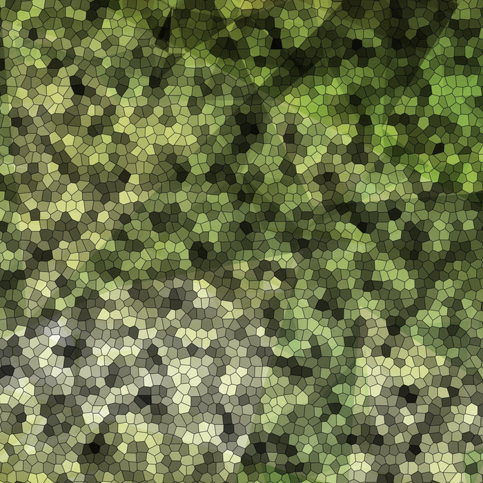 Seeking - DJI Mini 2 Skin